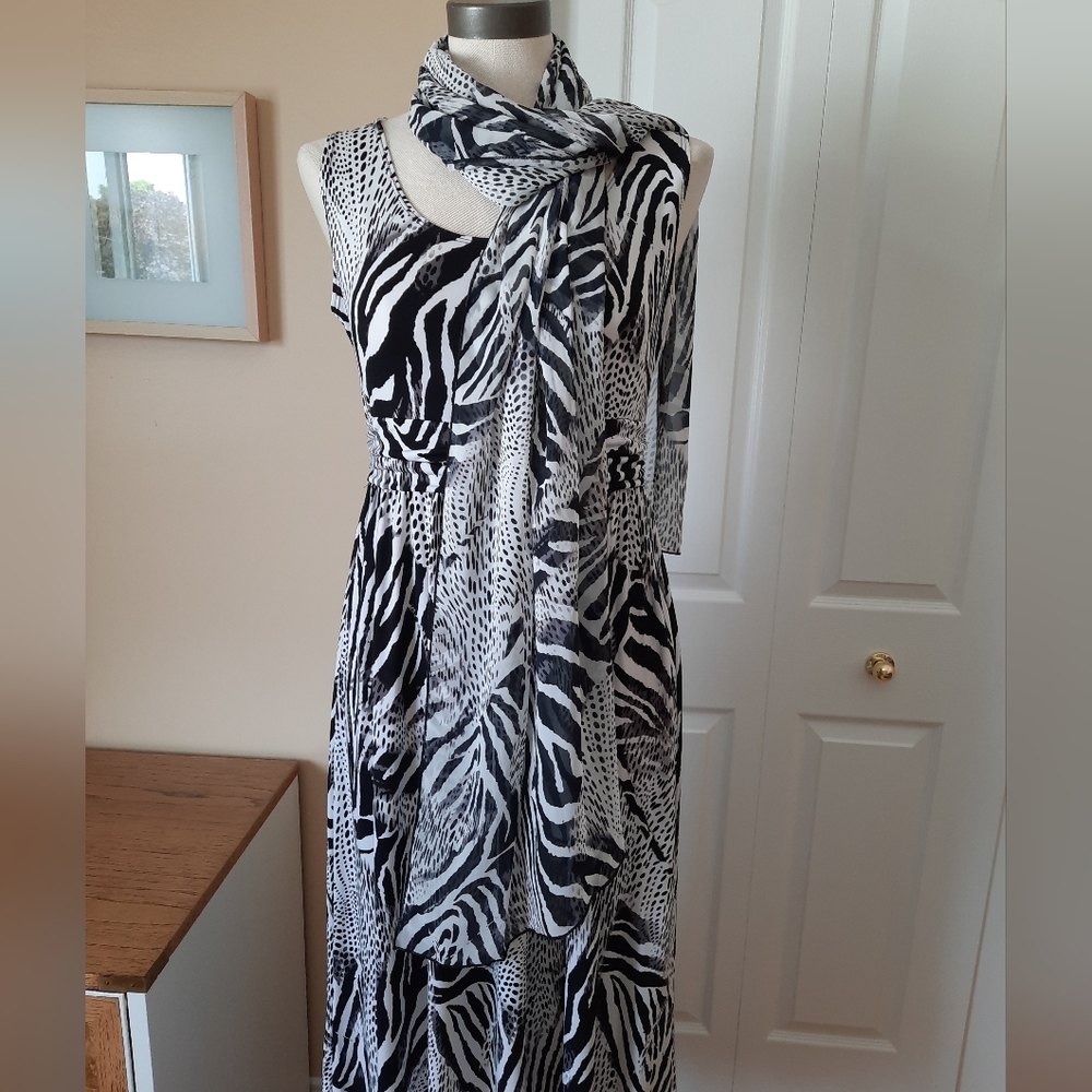 Adorable zebra print dress and scarf